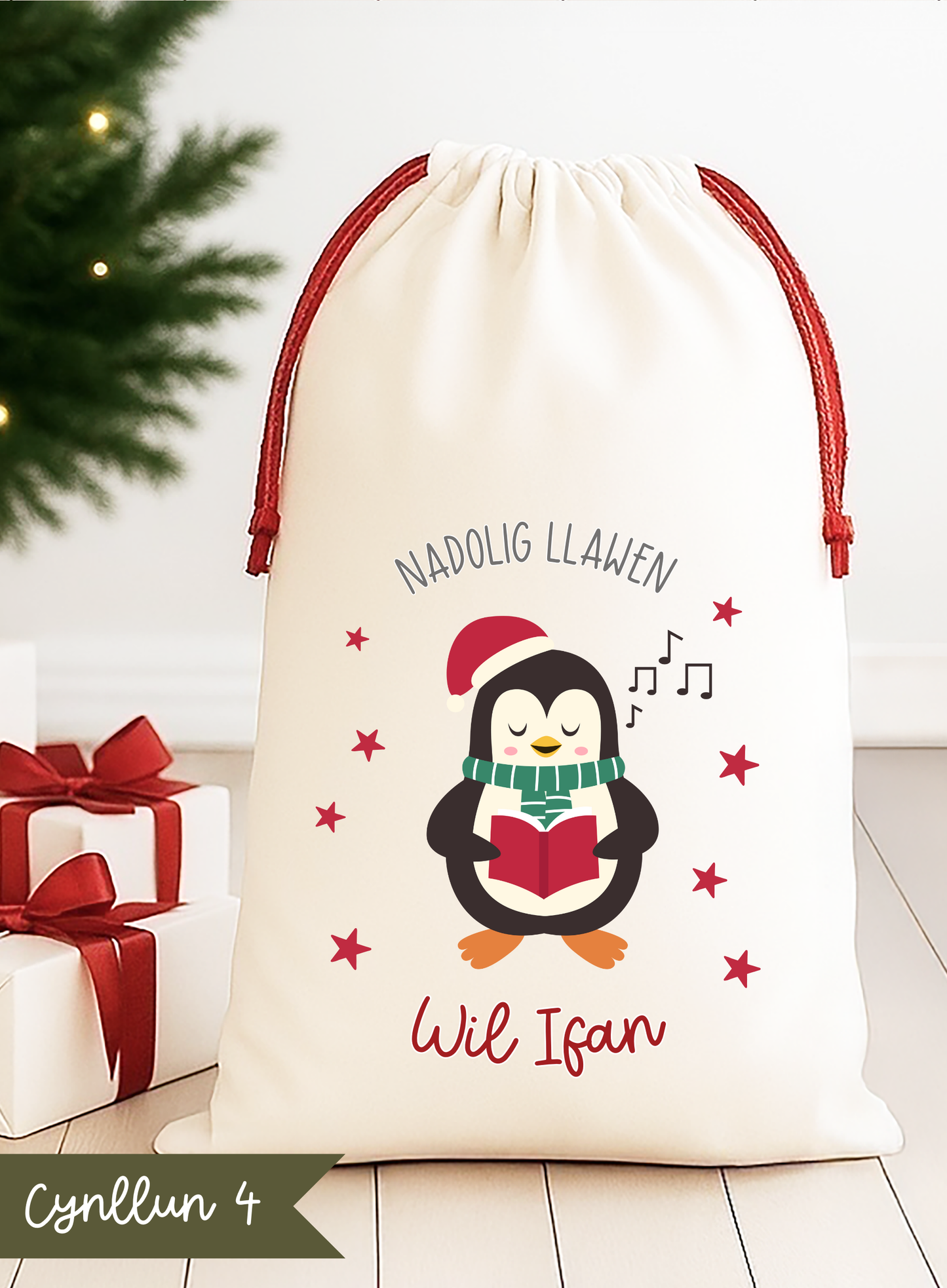Sach Nadolig ~ Christmas Sack