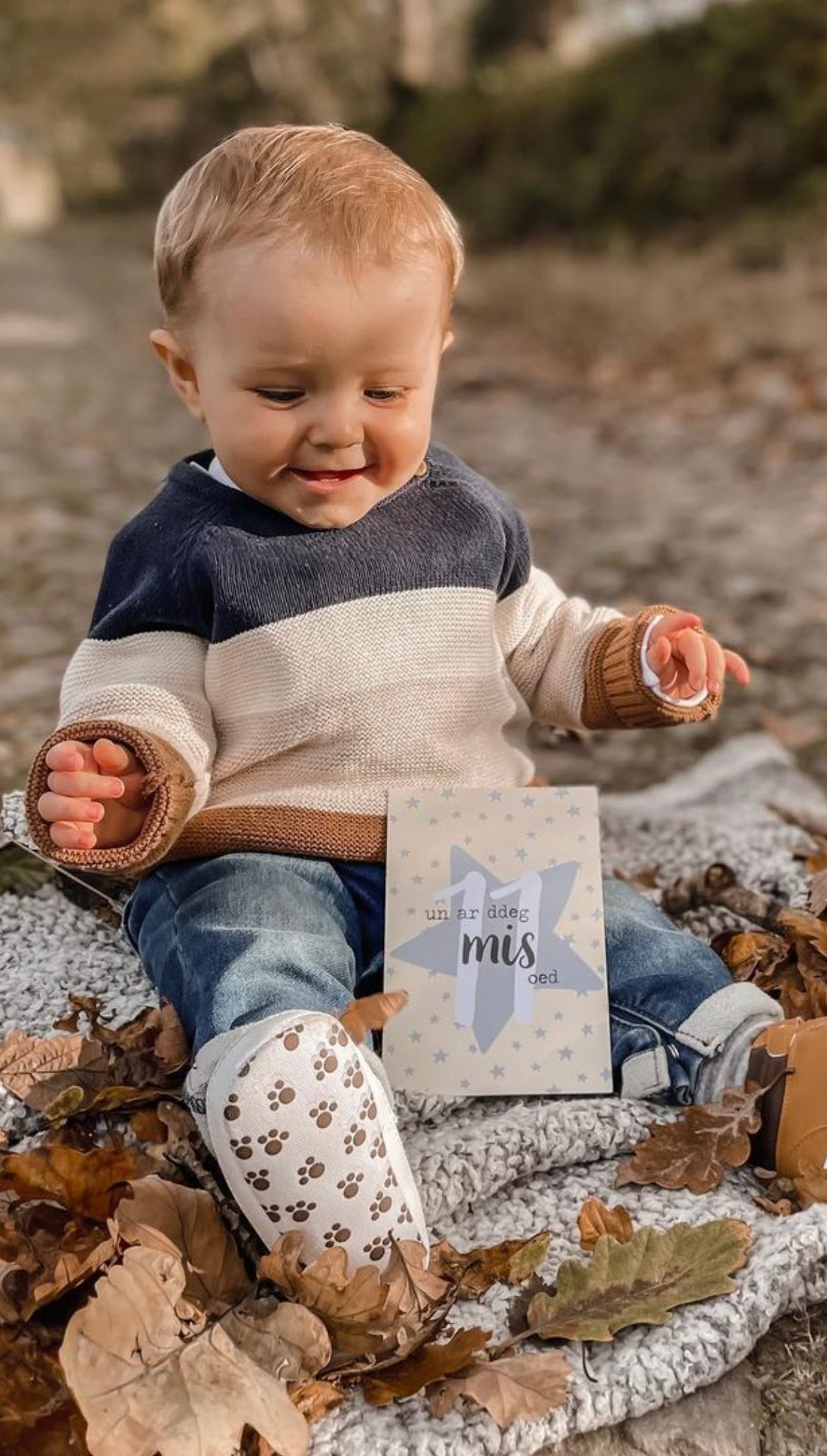 Cardiau Cerrig Milltir Babi (Bechgyn)